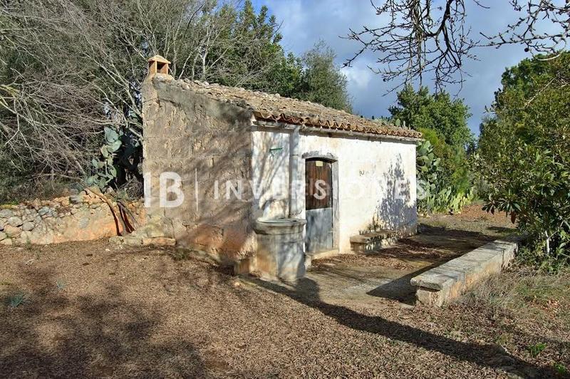 Foto b8515b88-7ec1-4631-83d1-e2e037ddeba2. Fondo rustico in Lloseta