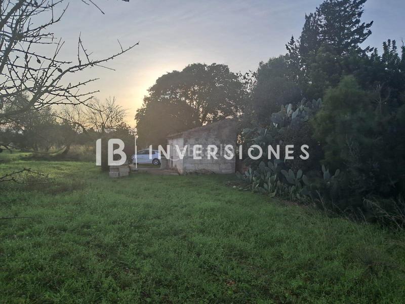 Foto ee27e5c9-16ad-4737-85e6-c3493abf7c76. Fondo rustico in Lloseta