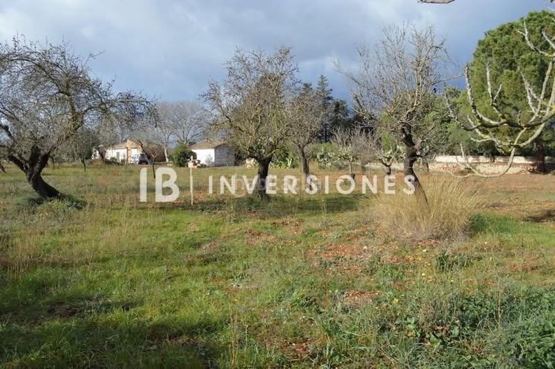 Foto f6642c8d-55e9-4bb7-9c64-f11f268be48a. Fondo rustico in Lloseta