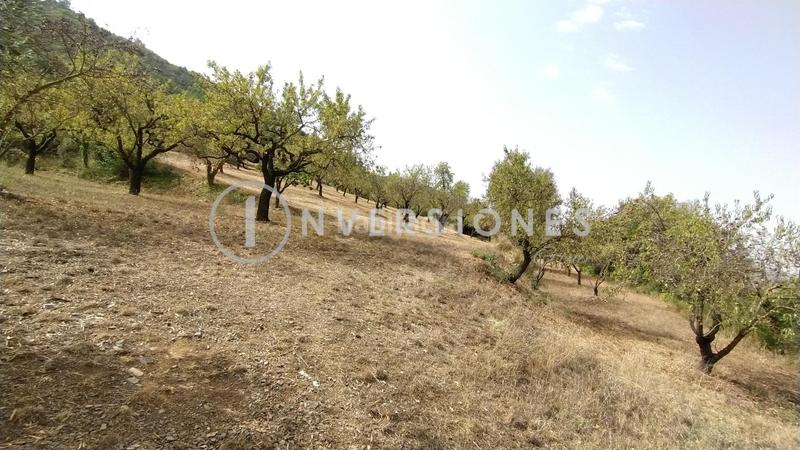 Foto 8cc53c3a-2bdb-45f5-b042-1fdfdecd04f7. Mas avec chauffage parking piscine dans Vimbodí