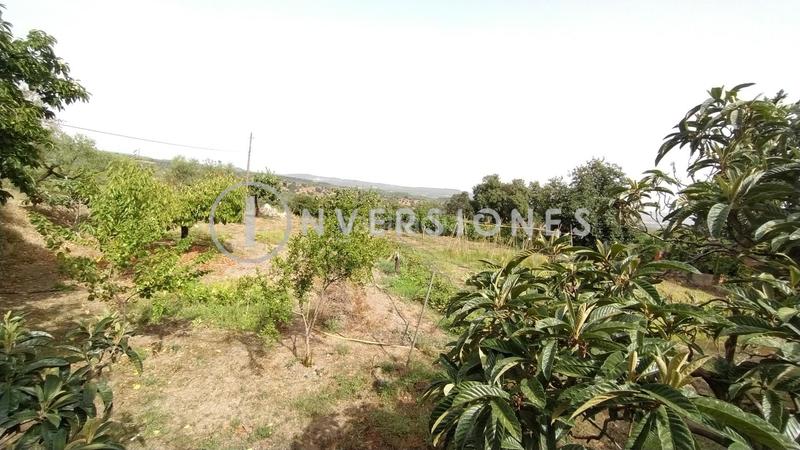 Foto ef5e6ba0-3331-4f02-96d1-14964953e2ed. Mas avec chauffage parking piscine dans Vimbodí