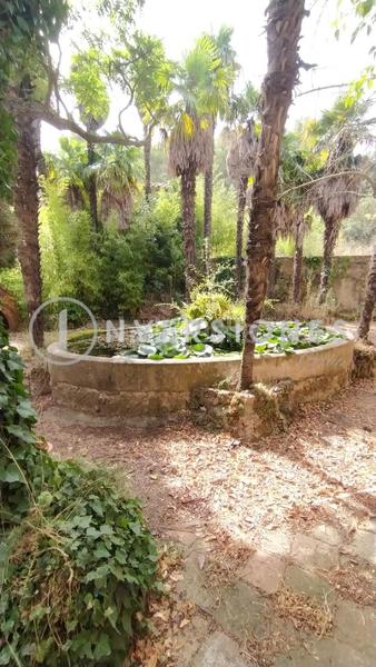 Foto 220c5ba3-a38d-4ffa-8973-39733f1d395c. Masia amb calefacció aparcament piscina a Vimbodí