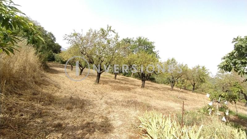 Foto e83d095a-c8c1-4d1c-9380-572f46becb6f. Masia amb calefacció aparcament piscina a Vimbodí