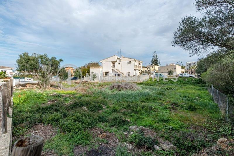 Foto 17922cfc-fd18-4e8d-9097-4d716cf2f889. Terreny residencial a Sant Llorenç des Cardassar