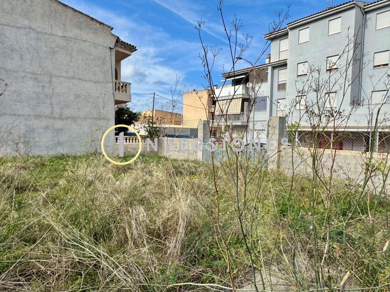 Foto 3a98ab3d-4f23-4cc7-b6c8-25d95602a39d. Terreno residencial en S´Illot-Cala Morlanda Manacor