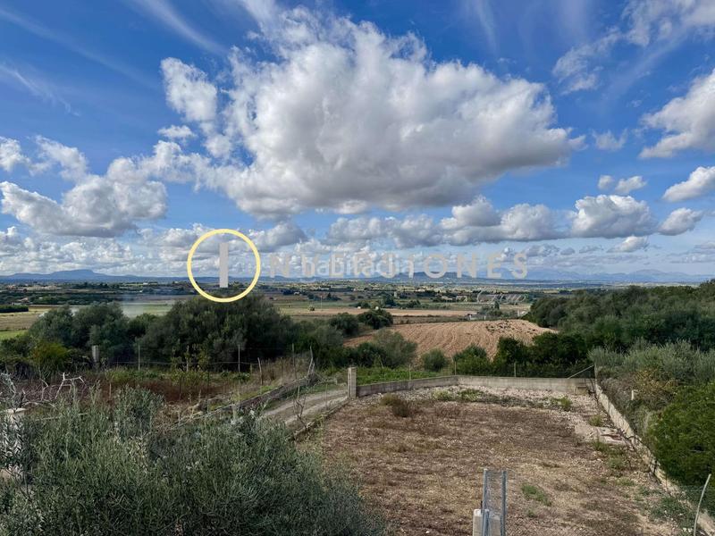 Foto 44f3d863-b71b-441e-950a-fb359b5aff69. Country house with pool in Manacor centre Manacor