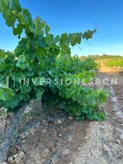 Residential Plot  Polígono vimbodí i poblet