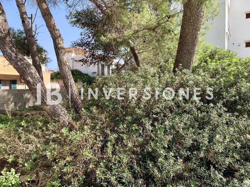 Foto 4baabfa4-7b6f-45ab-a238-a6851f2e843f. Terreny residencial a S´Illot-Cala Morlanda Manacor