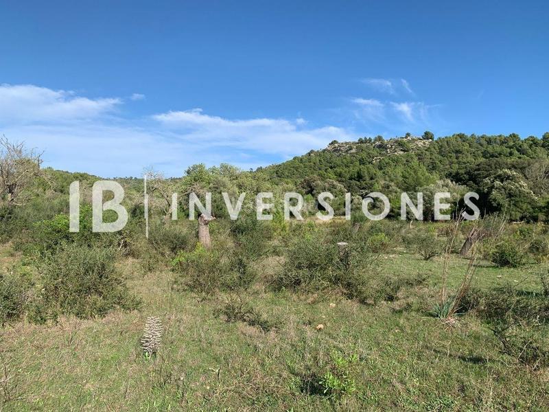 Foto 03d09f92-3227-4b23-b747-8323ad58b2c2. Terreno residenziale in Capdepera poble Capdepera