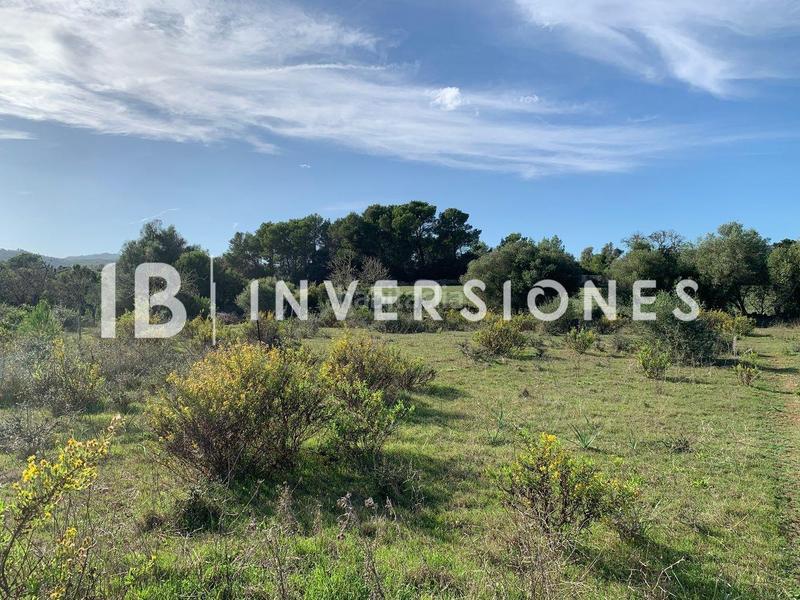 Foto 16a7209f-a10f-4270-8cc1-6b13e201278f. Terreno residenziale in Capdepera poble Capdepera