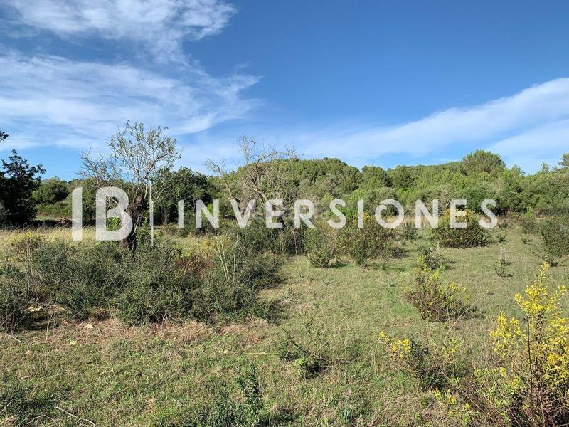 Foto 57b830a8-4fee-43f8-9bd3-1c84e13b6a30. Terreno residenziale in Capdepera poble Capdepera