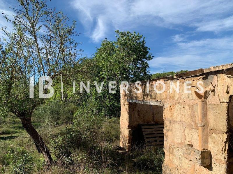 Foto 636ca7ff-0da9-4a0e-b152-d876088e6373. Terreno residenziale in Capdepera poble Capdepera