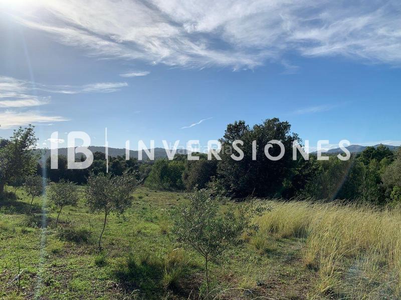 Foto 7c63fe81-5285-4b43-a8b5-0ab58b3648b1. Terreno residenziale in Capdepera poble Capdepera