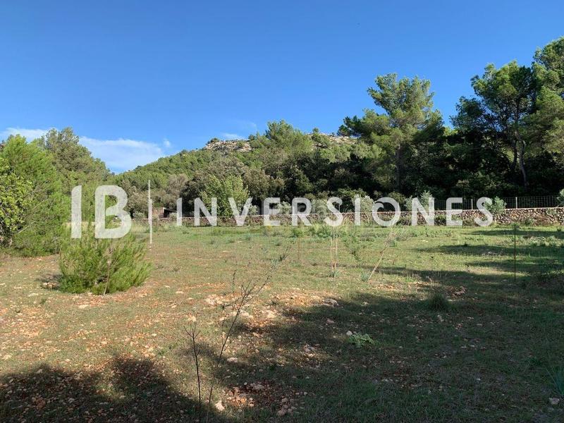 Foto 9c9dcb8b-8def-4165-9de4-100cb9485829. Terreno residenziale in Capdepera poble Capdepera