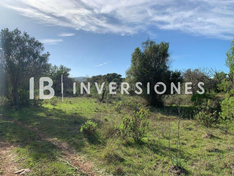 Foto d6adbe11-0b73-4471-ab91-3b4db46cf4b9. Terreno residenziale in Capdepera poble Capdepera