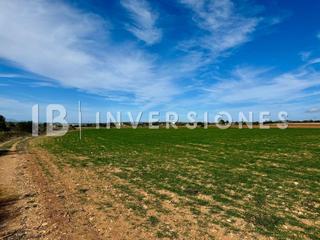 Rural plot  Son caules