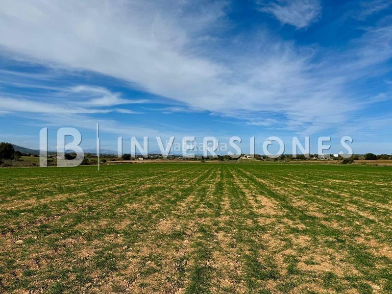 Foto a6b44679-a617-415d-8a92-62e6814a2f84. Finca rústica a Manacor centre Manacor