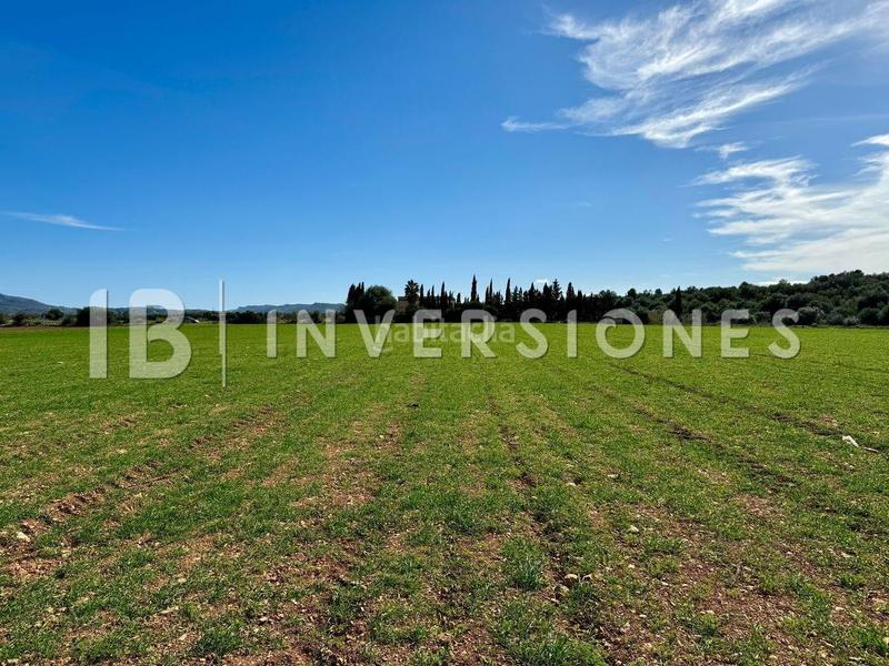 Foto f79346b9-49f5-41ae-9c6c-9eebd18a7ac6. Finca rústica a Manacor centre Manacor