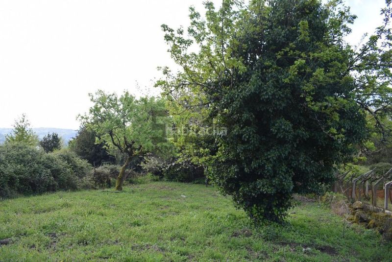 Foto 12c6d60c-5f48-4851-9f12-1c83d21a876c. Casa amb calefacció a Coles