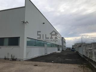 Nau industrial  Polig. pereiro