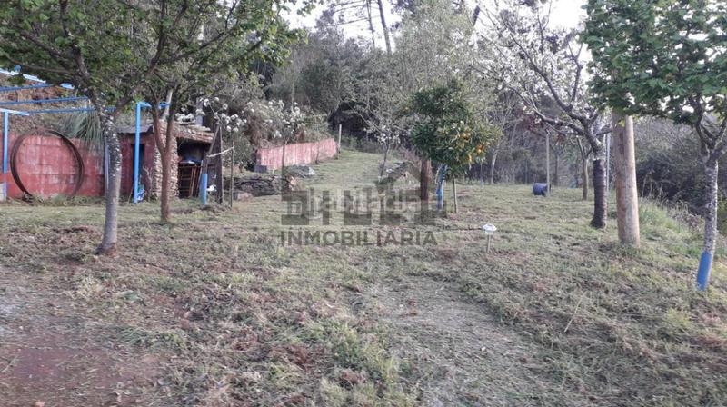 Foto 4c586d2c-906d-4b62-842e-1240a379d955. Chalet avec chauffage parking dans Castrelo de Miño