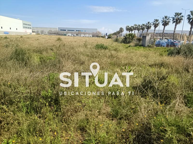 Foto c0d846ad-cd00-4bf2-ada6-43dd8ed5f7e2. Terrain industriel dans avinguda del segle xxi 6 dans Viladecans