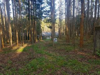 Finca rústica a Mesía. Terreno en venta en a iglesia cabrui