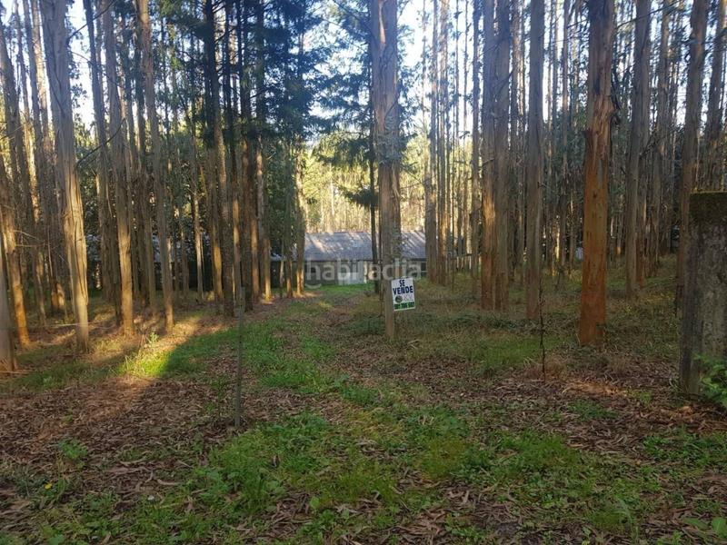 Foto a40e1606-97bd-4f59-9483-d473c3cdbfdb. Finca rústica a Mesía