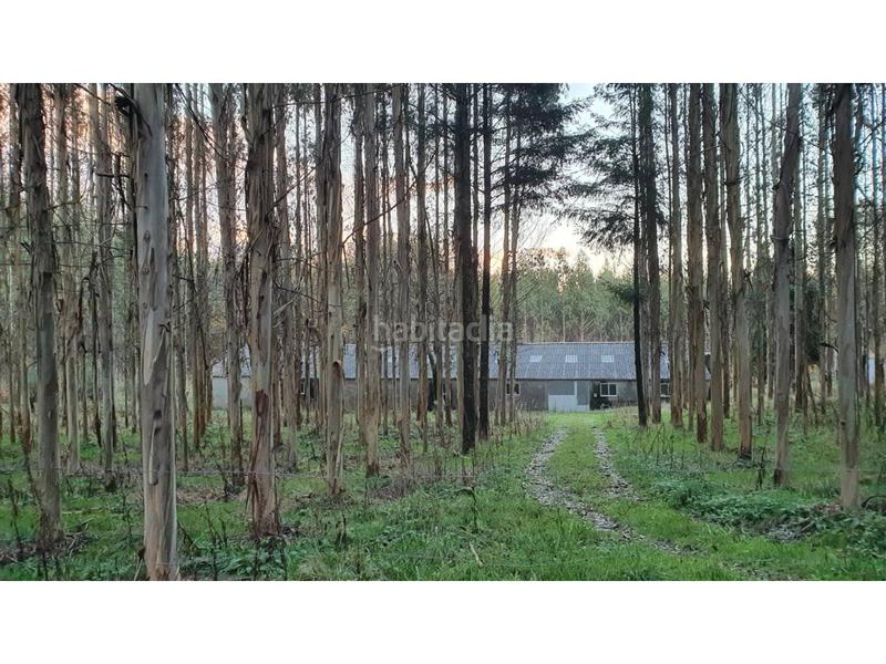 Foto b46341d8-f1fa-4dba-bc67-aebdd59395a4. Finca rústica a Mesía