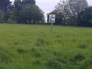 Rural plot in Pazo guerras 1. Terreno en venta en arceo boimorto  a coruña