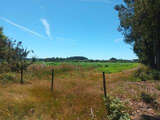 Finca rústica a Seselle 15386. Terreno en venta en oza dos ríos san pedro