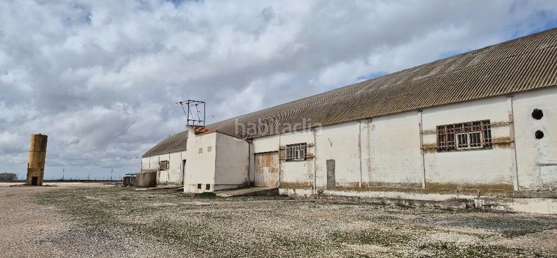Foto 4f6f5b57-fbde-4747-83ca-8a1791c60618. Bâtiment à usage industriel dans a-31 237 dans Gineta (La)