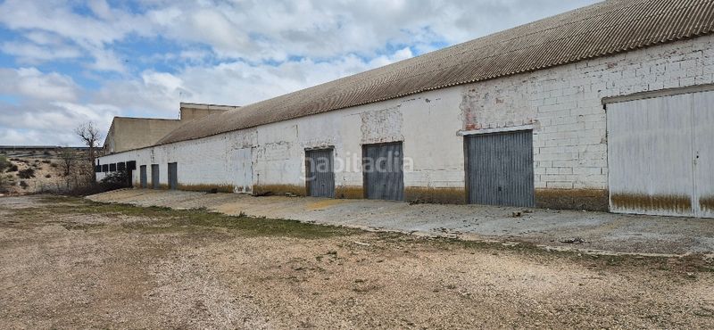 Foto 573534ed-69e9-49d5-a79f-9ac0940c137b. Bâtiment à usage industriel dans a-31 237 dans Gineta (La)