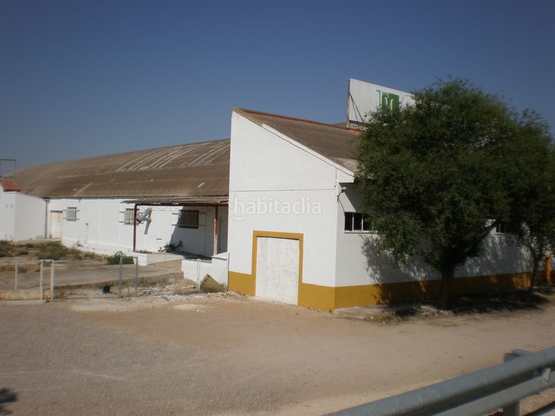 Foto c8162cef-0516-405f-9369-f5604d5b7364. Bâtiment à usage industriel dans a-31 237 dans Gineta (La)