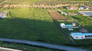 Propriété  Camino polígono 5 parcela 39 la lampara. Ya a la venta!! magnífica finca de 7.000 m2 en bormujos