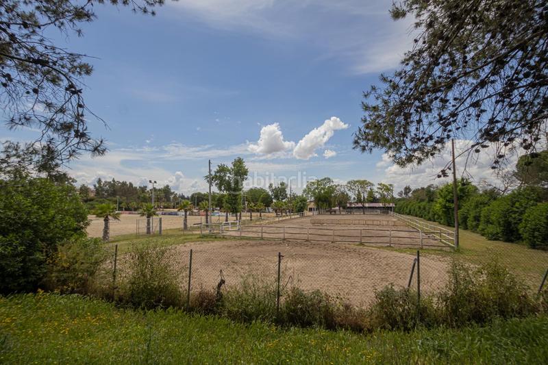 Foto a5d49e29-37f0-4138-80f5-92605ccf80f1. Alquiler chalet vivienda exclusiva en el zaudin, sevilla. en Bormujos