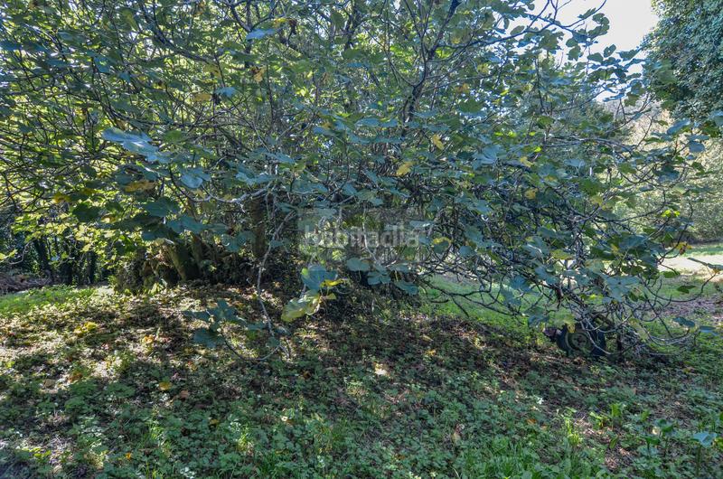 Foto 166bd993-c339-496e-9d67-0daafaa705f6. House in Carral