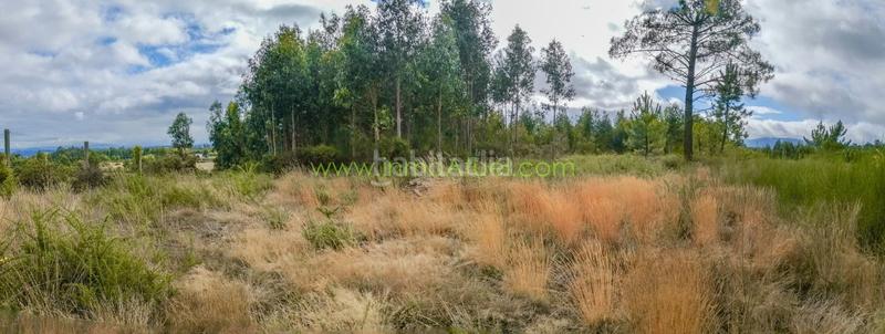 Foto e51b7c4e-f1eb-4fd2-9793-c367997d0338. Terreno residencial en Vilaboa Sur Culleredo