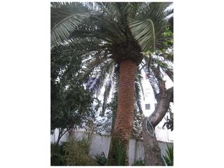 Pis a Casco Antiguo. Piso venta caceres
