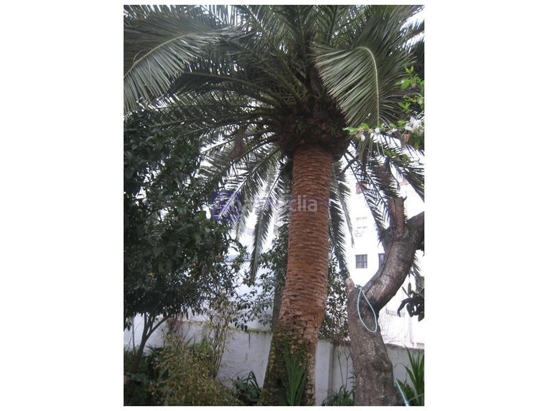 Foto 10b79dd9-d7d7-471c-a87b-81ffaccb8a3c. Etagenwohnung mit pool in Casco Antiguo Cáceres