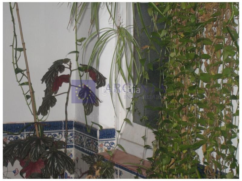 Foto 3c5928c5-9bee-455b-809f-b198f2d24df4. Etagenwohnung mit pool in Casco Antiguo Cáceres