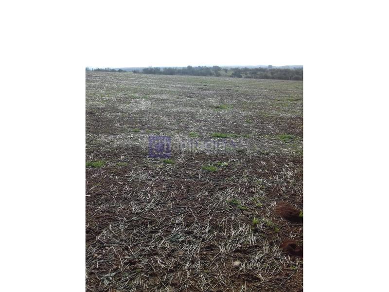 Foto 85d94bae-7fd0-425e-a4f3-53e4444e5b80. Casa a Sur Mérida