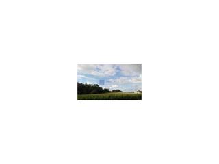 Mas à Coria. Finca agrícola y de secano de unas 200 has en la zona de coria