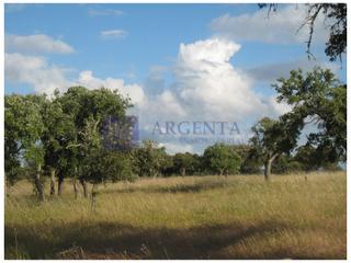 Masia a Santiago de Alcántara. Finca cinegética de unas 150 hectáreas en la zona de alcántara