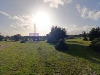 Casa in Ruta de la Plata. Finca ganadera de unas 190 hectáreas en la zona de cáceres