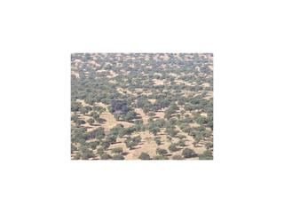 Masia a Valencia de Alcántara. Finca ganadera de unas 500 hectáreas en la zona de alcántara