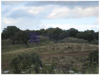 Masia a Aldeacentenera. Finca mixta de unas 220 hectáreas en la zona de guadalupe
