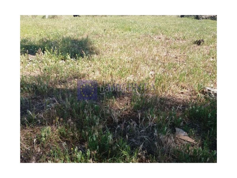 Foto 67607c5f-5398-46fc-9532-fd163e52bc2d. Casa a Brozas