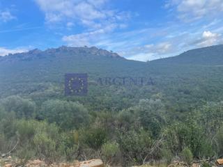 Casa a Aliseda. Finca cinegética de unas 300 hectáreas en la zona de alcántara