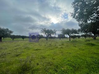 Maison à Portaje. Finca ganadera de unas 400 hectáreas en la zona de cañaveral